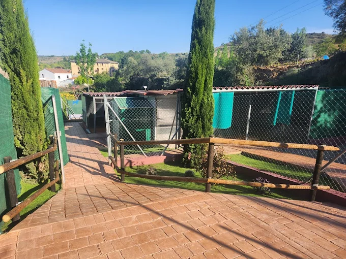 AbcCanino - Centro Canino