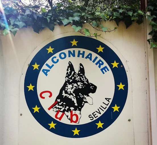 Alconhaire