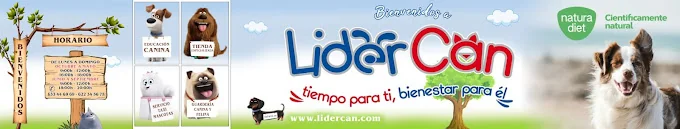 Animal Paradise Resort