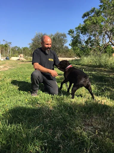 Animalia, Escuela y Albergue Canino