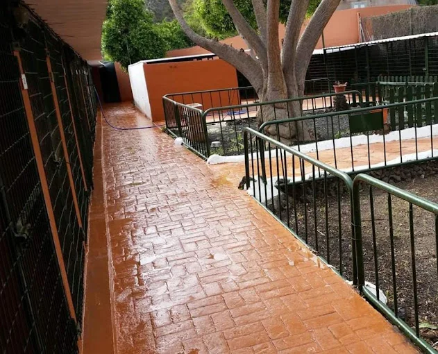 Canservan Canarias Residencia Canina - Cria - Adiestramiento