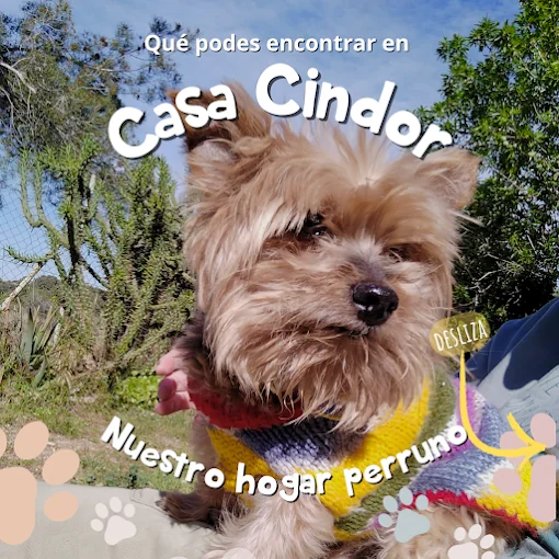 Casa Cindor