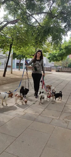 CasaItaliaDog peluqueria guarderia pastelleria canina