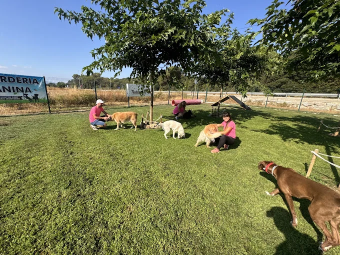 Centro Canino Baix Montseny