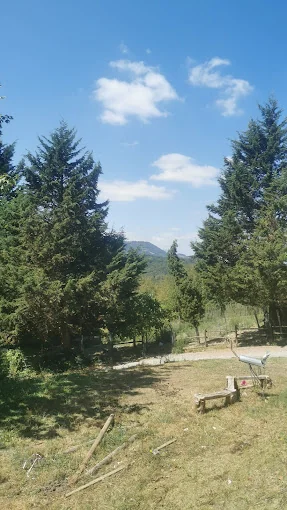 Centro Canino Indartxu
