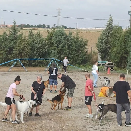 Centro canino Lawpecan
