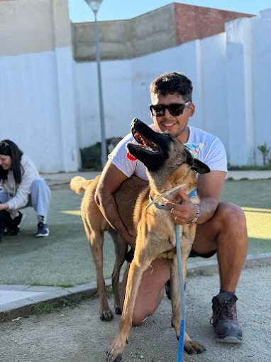 CENTRO DE ADIESTRAMIENTO Y GUARDERIA CANINA