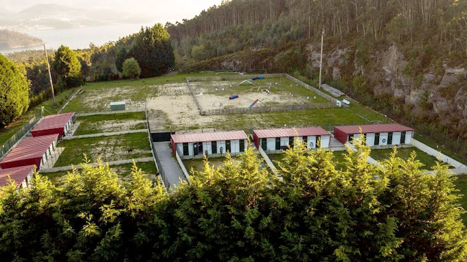 Centro Kennels