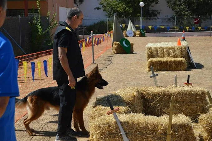Club Canino