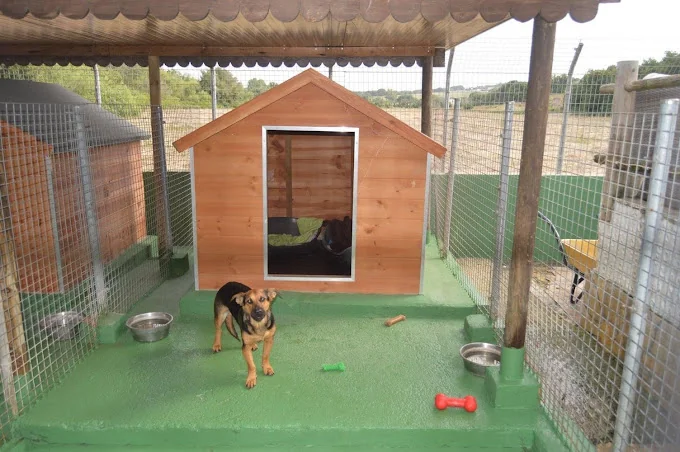 Cozy Kennels S.L