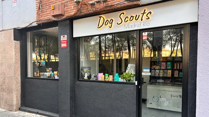 Dog Scouts Madrid Río
