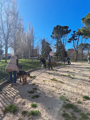 DogMadrid Guardería y Educación Canina