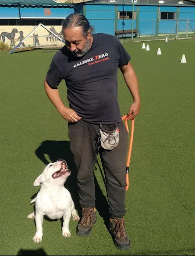 Drukkie Mascotas