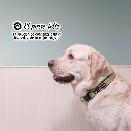 El Perro Feliz Madrid Centro