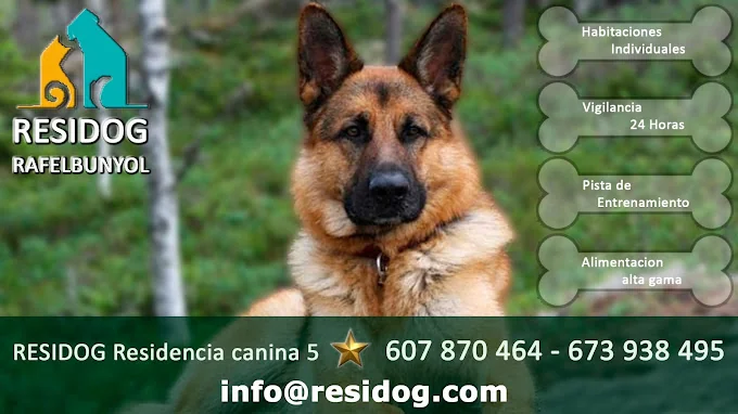 El Perro Feliz Malaga