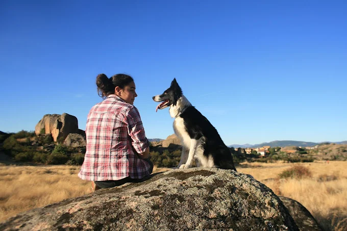 Entender a mi perro