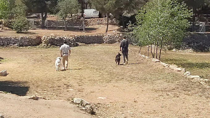 Escola residencia canina Espai Verd