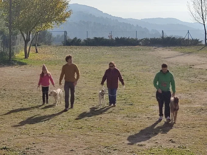 Font Galí Residéncia Canina