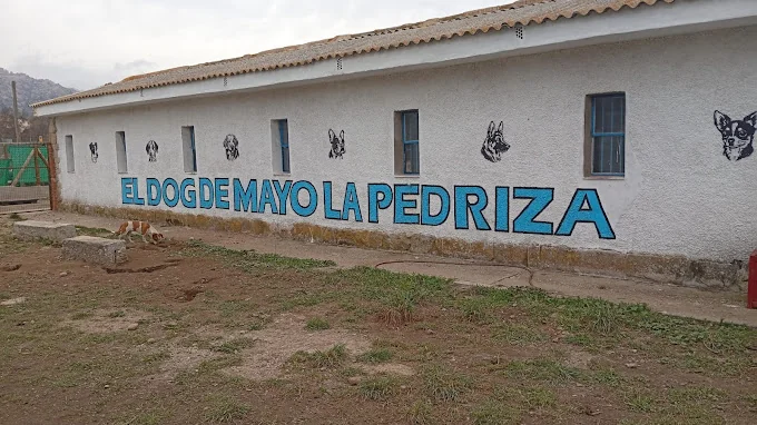 Guardería canina El dog de mayo La Pedriza