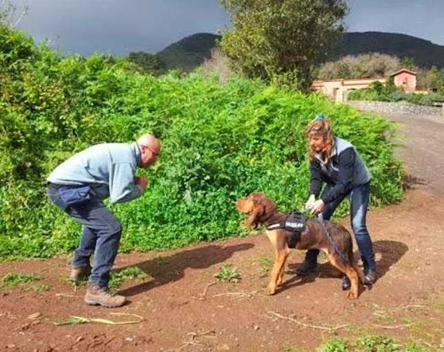 guarderia canina el jardin de tu mascota