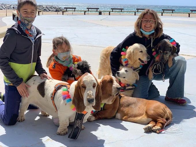 Guarderia canina Elena & desde 1998... Escuela & Rehabilitación Conductual