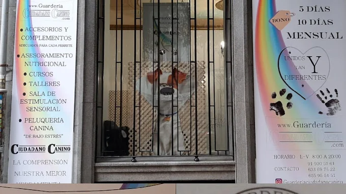 Guarderia ciudadano canino