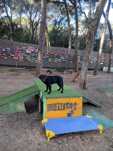 Guardería HUELLITAS