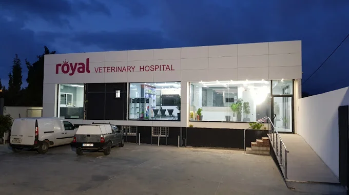 Guardería para perros
