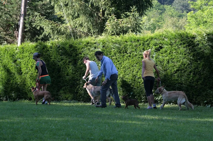 Hotel Canino Aiartza