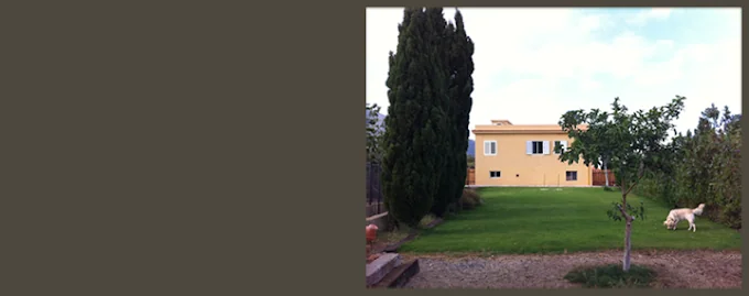 Hotel Canino Manuel Curtó