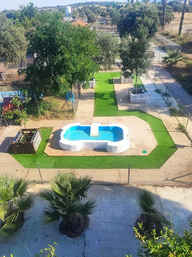 Hotel canino Mascout