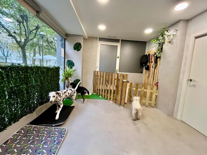 Hotel Canino PEEK | Guardería Residencia