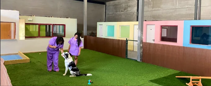 Hotel MiMascota