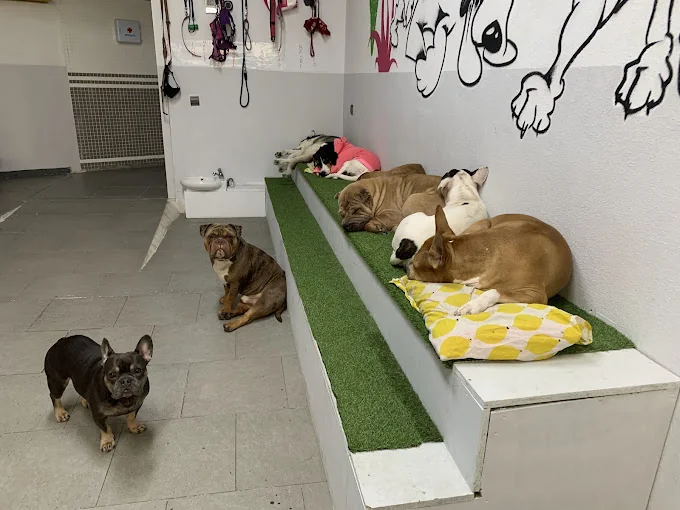 Huellas Amigas