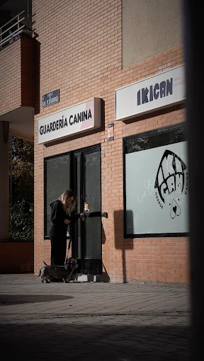 Ikican - Guardería canina en Las Rosas