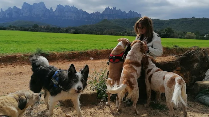 Les Oliveres Rural Can