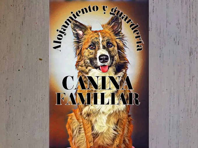Los Amigos de Erik