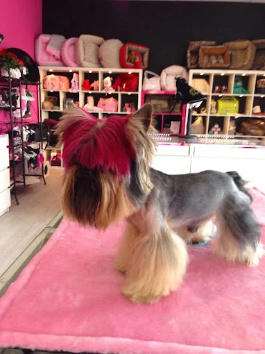 Mascohotel Shop