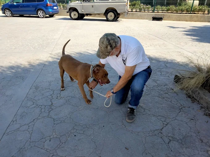 Mascotel