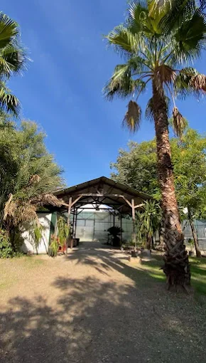 Maskotas Hotel Canino