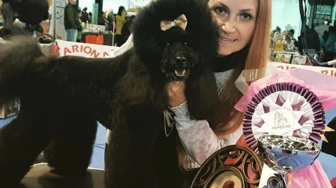 Miss Rumba Guardería y Peluquería Canina by María Casillas