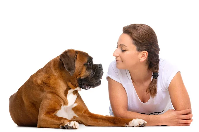 Patitas Educadas | Educadora Canina