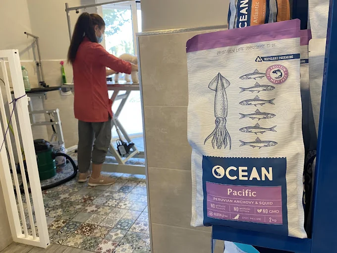 Peluquería Canina Beatrix