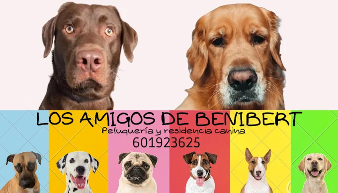Peluquería y residencia canina Los amigos de Benibert