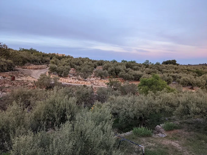 PET RESORT TORTOSA RESIDENCIA PARA MASCOTAS
