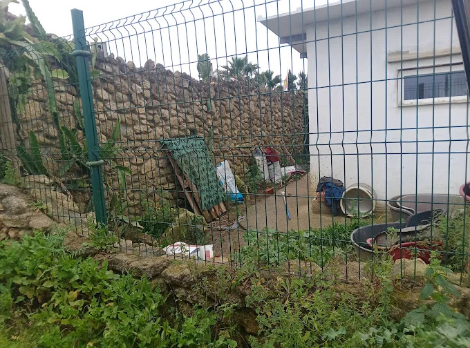 Residencia canina