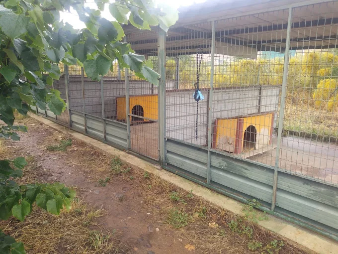 Residencia Canina Ambroz
