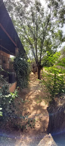 Residencia Canina Animalandia