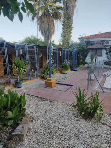 Residencia Canina Astigi
