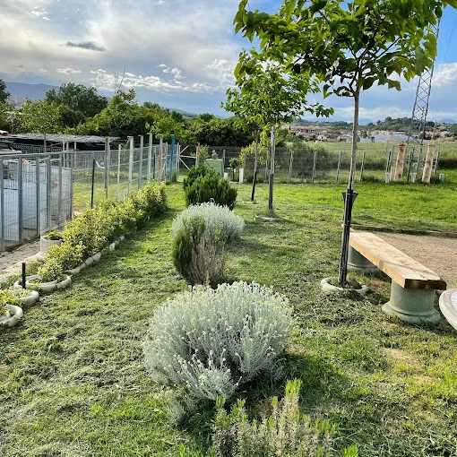 Residencia canina Banyoles Placocan